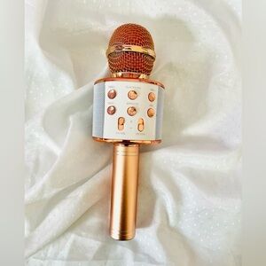 iJOY Karaoke Microphone